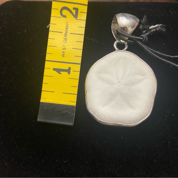 Charles Albert White Fossilized Sand Dollar Charm - Picture 3 of 3